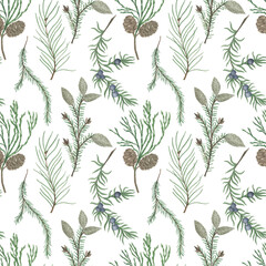 Watercolor painting seamless pattern with conifers, juniper, spruce branch. Winter  forest wallpaper