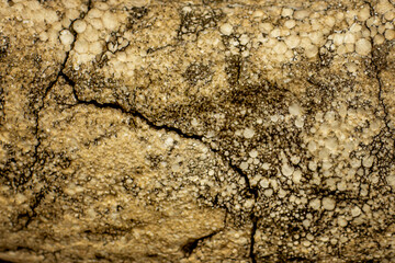 abstract background. old styrofoam background.
