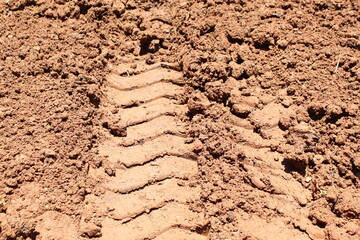 tracks in sand