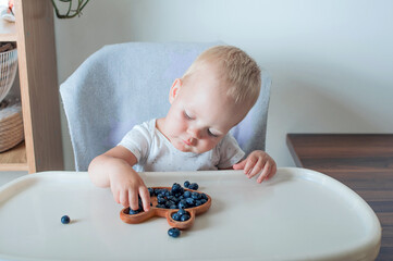 Blonde toddler boy eating Yummy blueberries with wooden plates on highchair close-up and copy...
