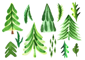 Set of watercolor fir trees. Hand painted spruce forest illustration.