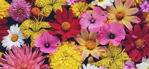 Keuken spatwand met foto flower banner bright garden flowers bouquet © MaskaRad