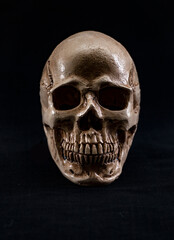 Hand-crafted plaster skull of a human