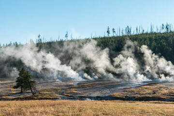 Fototapeta na wymiar Steaming mud pots in the early morning in the Yellowstone National Park