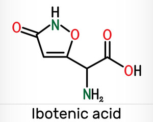 Ibotenic acid psychoactive drug molecule. It is non-proteinogenic alpha-amino acid, neurotoxin. Is found in AMANITA mushrooms. Skeletal chemical formula