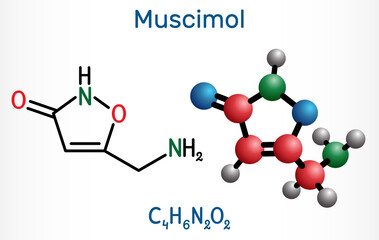 Muscimol, agarin, pantherine molecule. It is the main psychoactive component of the Amanita muscaria, red fly agaric and related species of mushrooms. Structural chemical formula, molecule model - obrazy, fototapety, plakaty