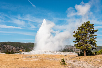 Famous Old Faithful geyser erupting, Yellowstone National Park
