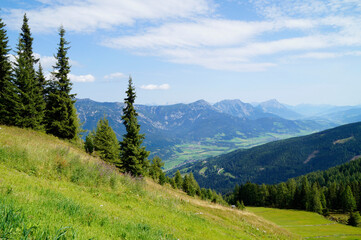 scenic lush green alpine landscape of the Dachstein region in Austria (Styria)	
