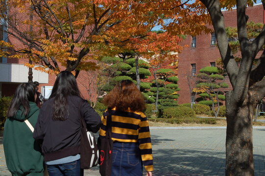 Grupo de estudiantes mujeres caminando por los edificios de la universidad en una ma&ntilde;ana de oto&ntilde;o