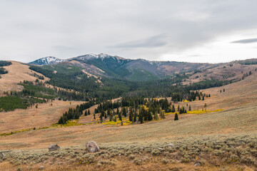 Obraz premium Untouched prairie landscape in the north of Yellowstone National Park