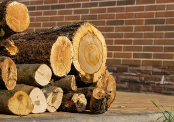 
Firewood of different sizes stacked on the background of a brick wall of a residential building