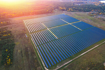 AERIAL: solar power plant panels in the field. Glare of the evening sun reflected in the solar...