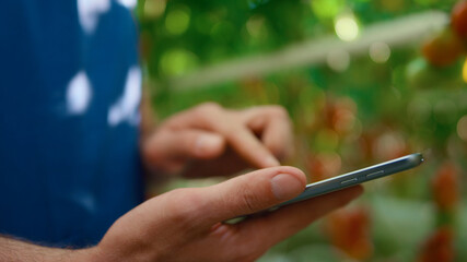 Farm worker closeup checking quality with technological device in greenhouse