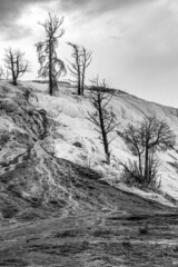 Scenic lifeless calcium terraces at Mammoth Hot Springs, Yellowstone National Park