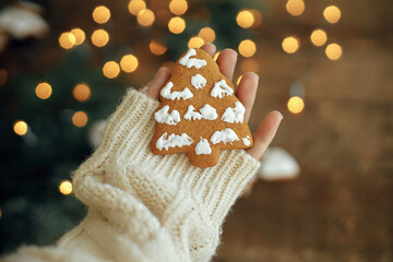 Hand in cozy sweater holding christmas tree gingerbread cookie on rustic moody background with warm lights, fir branches wooden table. Winter atmospheric time. Happy Holidays and Seasons greeting
