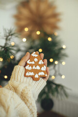 Hand in cozy sweater holding gingerbread cookie star on rustic moody background with warm lights. Winter hygge. Merry Christmas and Seasons greeting. Atmospheric image