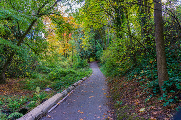 Washington Park Arboretum Autumn Path 2