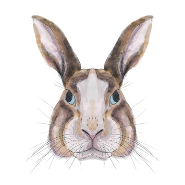 Ilustración digital de cabeza de conejo sobre fondo blanco. Trazos de acuarela. Animales del Horóscopo chino