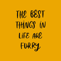 THE BEST THINGS IN LIFE ARE FURRY. MOTIVATIONAL HAND LETTERING TEXT PHRASE ABOUT DOGS.