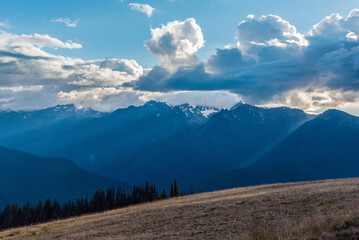Obraz premium Alpine landscape in the Olympic National Park, Washington State