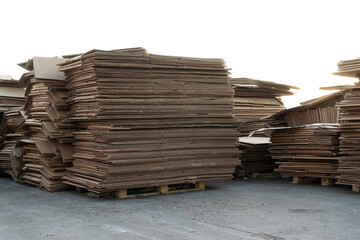 Photo of a large amount of waste paper