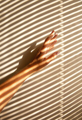 A woman's hand with shadows cast from the blinds.