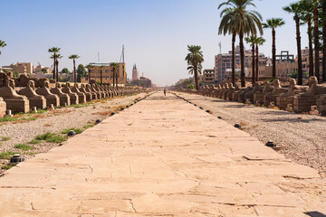 Promenade of the Effigies next to the Luxor temple has a length of three kilometers to the center...