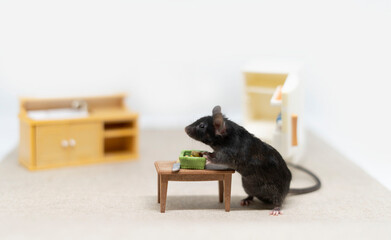 A gray mouse is standing near the table, waiting for food. Doll furniture, toy