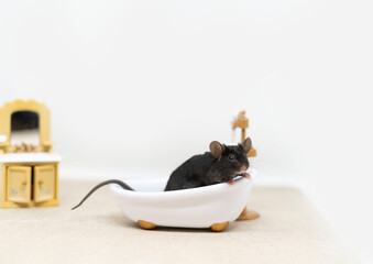 A little gray mouse is sitting on a white bathtub. Doll furniture.