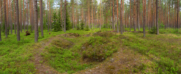 Fototapety na wymiar - Fototapeta24.pl