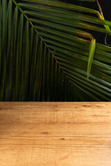 wooden desk with palm tree leafs on dark background.