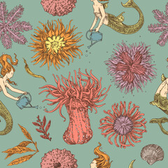 Vintage blue seamless pattern. Sea anemomes and mermaids. Color. Engraving style. Vector illustration. © KseniaKrop