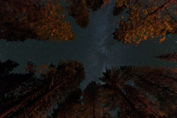 Fototapeta na wymiar Scenic night sky over a campground in the Yosemite National Park