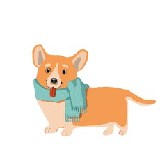 cute dog in warm scarf, vector holiday clipart with corgi, children's illustration with cartoon character good for card and print design