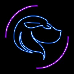 Leo zodiac sign neon, modern glowing banner design, colorful trend of modern design. Vector illustration.