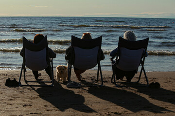 Holidays by the sea with a dog