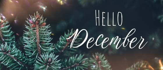 Christmas banner Background with green pine tree brunch and lettering Hello December. Trendy moody dark toned design. Vintage christmas lights bokeh. Natural winter holiday forest text © Aleksandra Konoplya