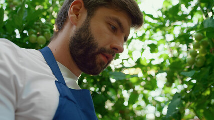 Agribusiness owner checking growth level technological device in farm closeup