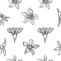 Seamless pattern with hand drawn Christmas bush flowers isolated on white background. Winter design elements. Vector illustration