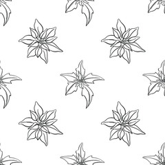 Seamless pattern with hand drawn poinsettia flowers isolated on white background. Christmas design elements. Vector illustration