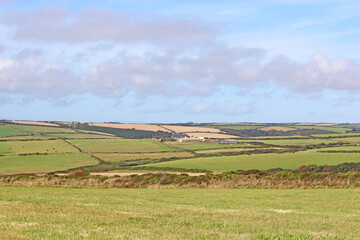 Fototapeta premium Fields in Pembrokeshire, Wales, in summer