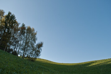 Fototapeta premium mountain forest lawn at sunset in the foothills of almaty, kazakhstan