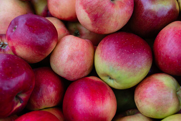 Background and texture from apples. Lots of beautiful red apples. Close-up. Red ripe apples. Collection and sale of apples.