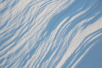 Fototapeta premium Beautiful winter background with snowy ground. Natural snow texture. Wind sculpted patterns on snow surface.