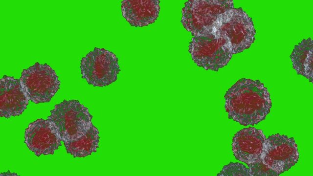 White blood cells flow, Monocyte, Green Screen Chromakey