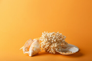 Seashells, coral and stylish jewelry on color background