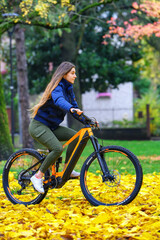 Obraz premium BICI ELETTRICA