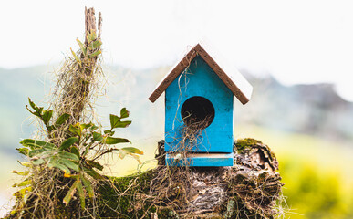 Birdhouse closeup on tree trunk.