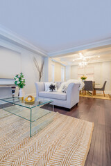 Interior design of a luxury living room