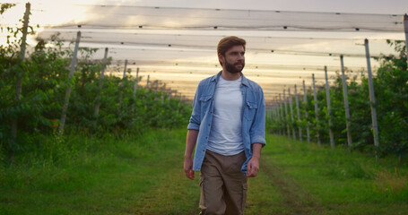 Happy farmer enjoying harvest in orchard. Businessman inspecting agriculture.